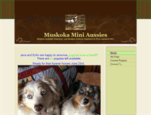 Tablet Screenshot of muskokaminiaussie.com